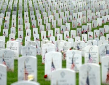 Graves with flags for Memorial Day