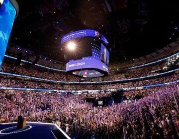 DNC attendees wave 