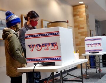 Marie Guenther votes in Milwaukee, Wisc.