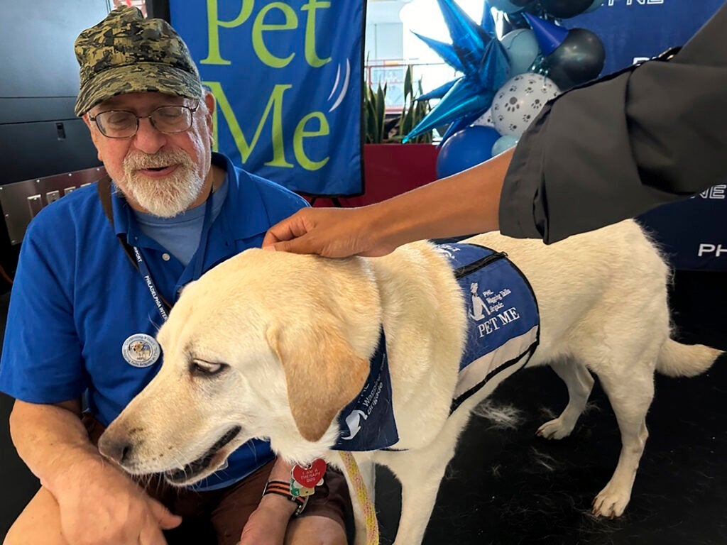 a Labrador retriever sits with a man