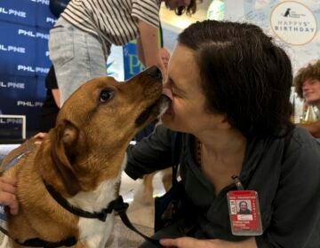 a dog licks a person's face