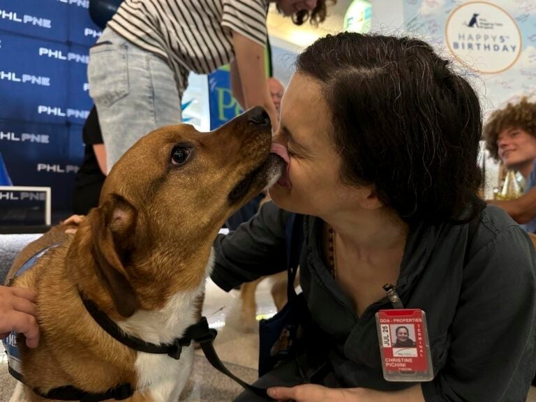 a dog licks a person's face