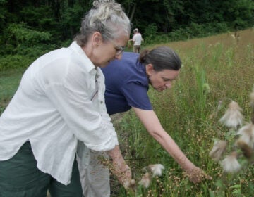 Heidi Barr and Susan Phillips