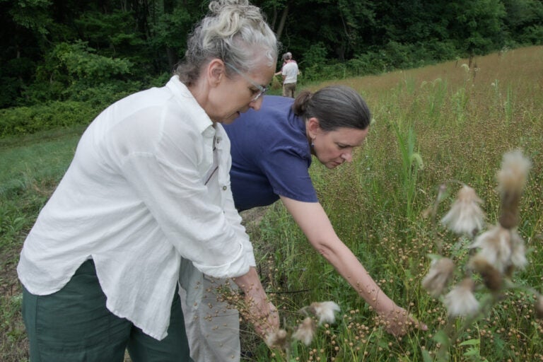 Heidi Barr and Susan Phillips