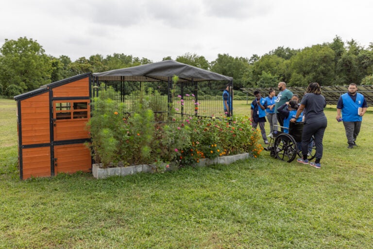 chicken coop