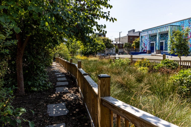 a walkway by a wooden fence across from