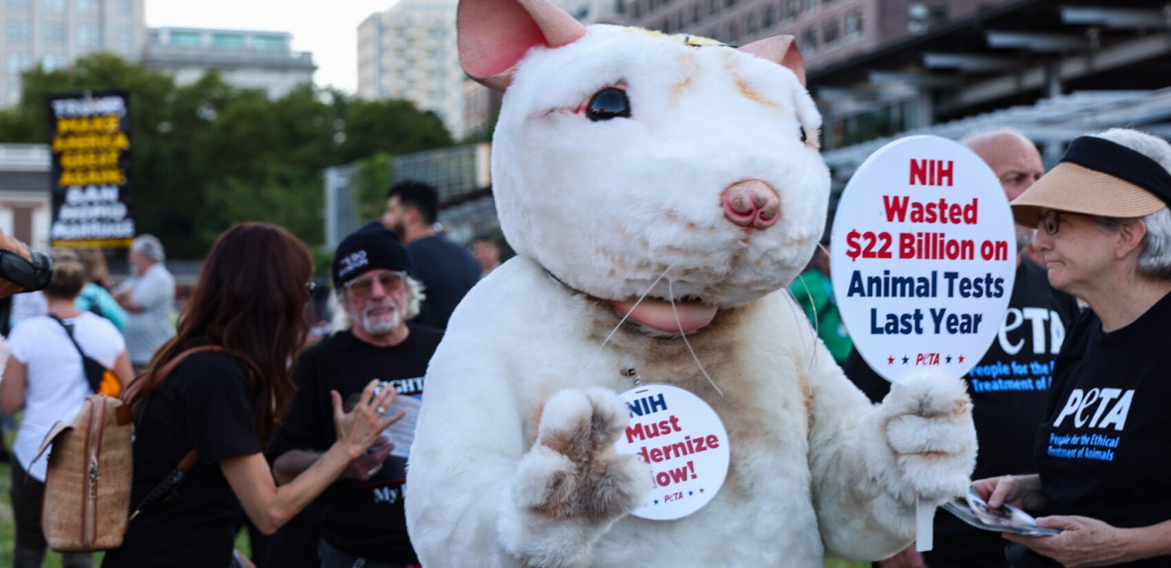 A protester dressed up as a rat