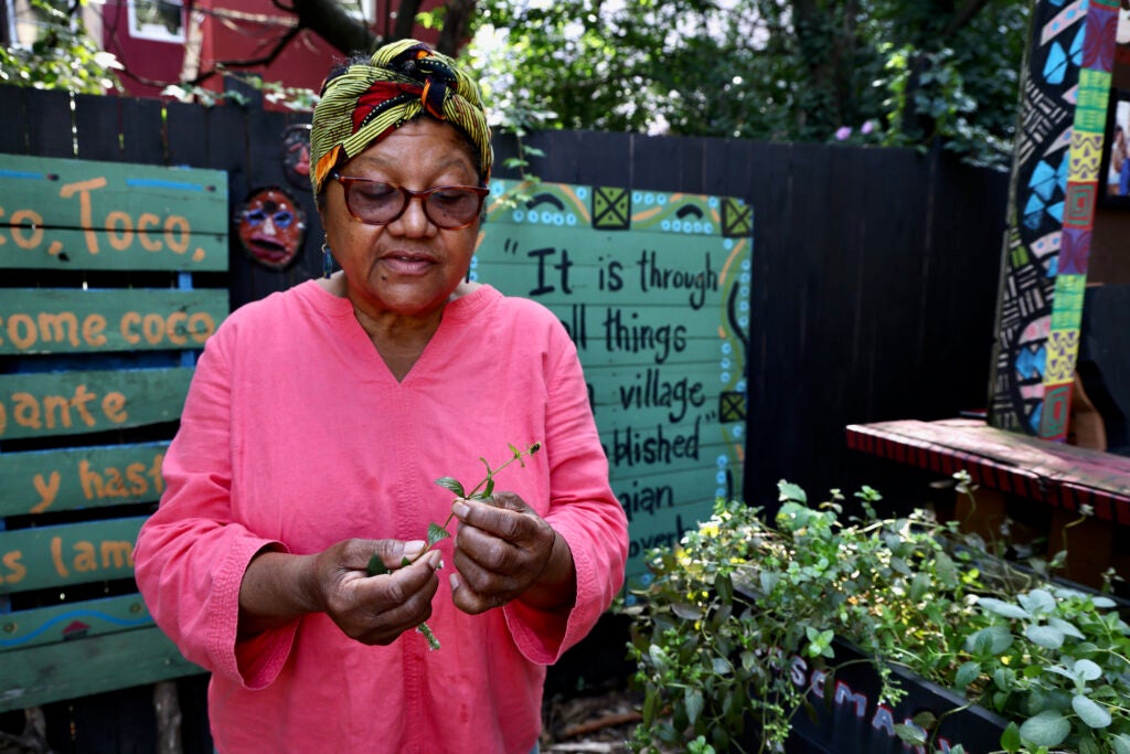 Iris Brown holds a chocolate mint plant