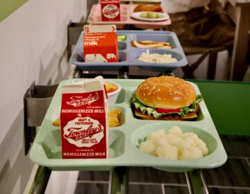 fake lunch trays with good on display