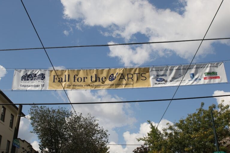 Chestnut Hill hosted its 40th annual Fall For the Arts Festival on Sept. 15, 2024. (Cory Sharber/WHYY)