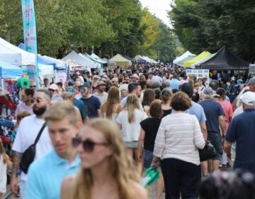 a crowd of people in the street