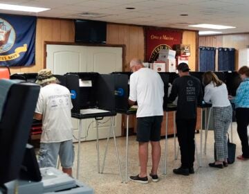 voters at their polling place