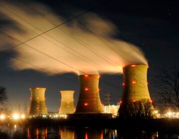 FILE - The Three Mile Island nuclear power generating station shown in Middletown, Pa. (AP Photo/Bradley C Bower)