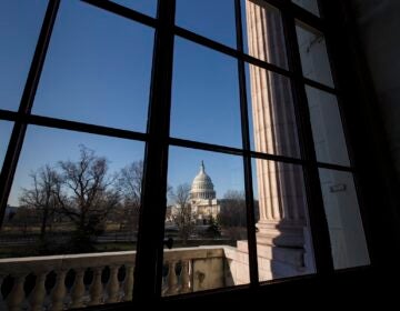 Capitol in Washington, D.C.