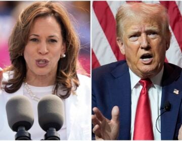 Kamala Harris and Donald Trump