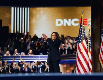 Vice President Kamala Harris at the Democratic National Convention