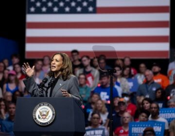 Vice President Kamala Harris speaks