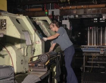 A worker in the plant