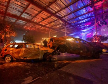 Burned out cars from the Nova Music Festival in Israel that was attacked last year