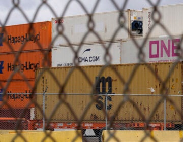 Shipping containers are seen at the Packer Avenue Marine Terminal Port during a strike by longshoremen, Tuesday, Oct. 1, 2024, in Philadelphia. (AP Photo/Matt Slocum)