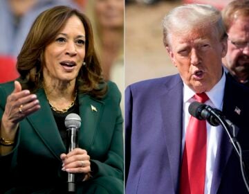 Kamala Harris and Donald Trump