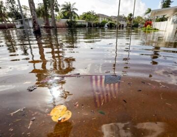 Flooding after the hurricane