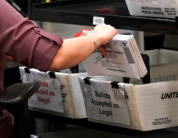 Election worker sorts vote-by-mail ballots