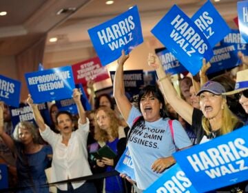 Harris-Walz supporters cheer