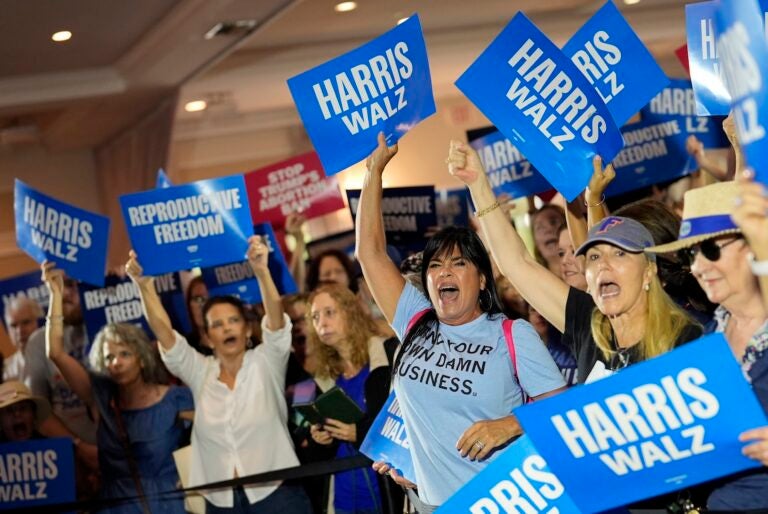 Harris-Walz supporters cheer