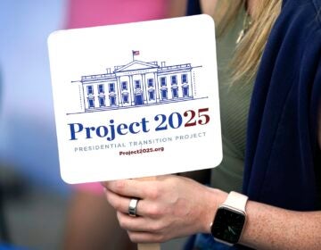 Project 2025 fan