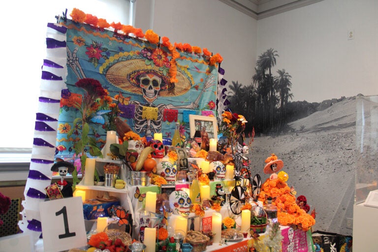 Community altars were on display at Penn Museum and the Mexican Cultural Center's Día de los Muertos celebration on Saturday, Oct. 26, 2024. (Emily Neil/WHYY)