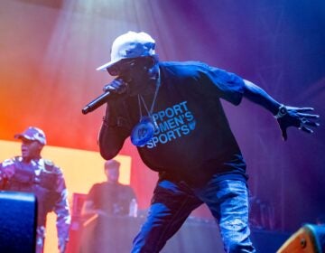 Flavor Flav performs onstage