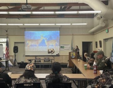 Woman shows people on a projector where to shoot a deer