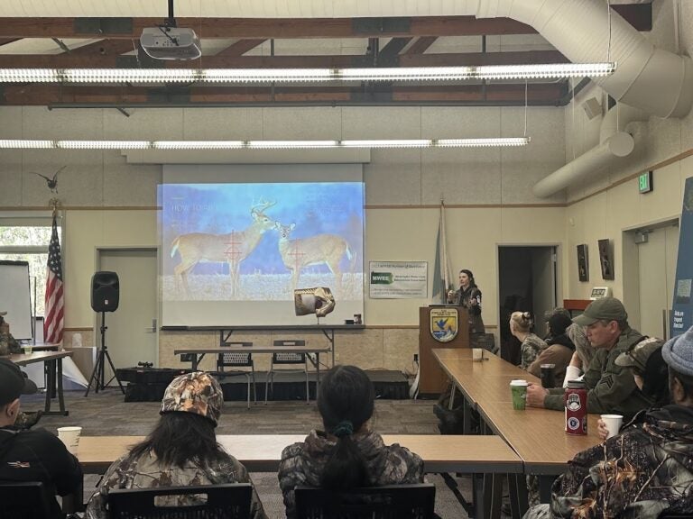 Woman shows people on a projector where to shoot a deer