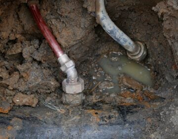 A copper water supply line and a lead pipe in the dirt