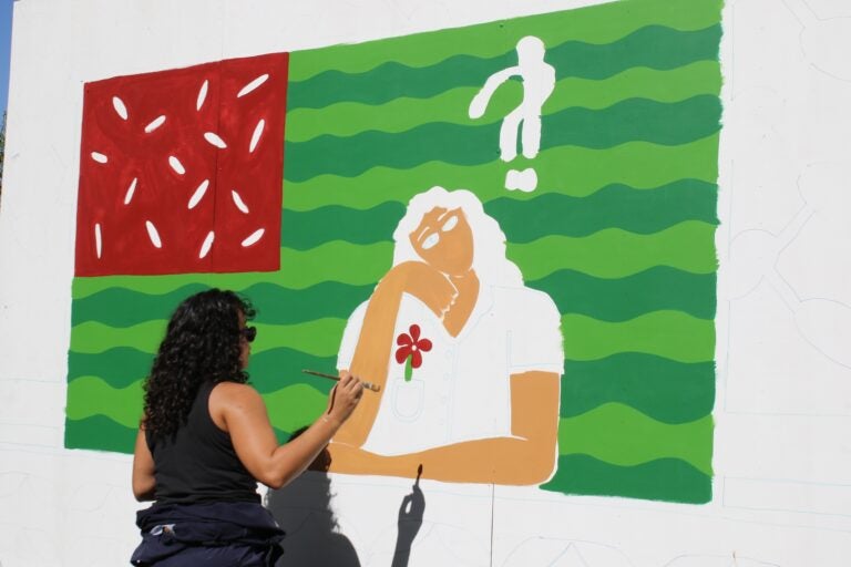 An artist painting a mural of the American flag in the style of a watermelon