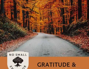 no-small-endeavor No Small Endeavor Gratitude and Conversation podcast tile