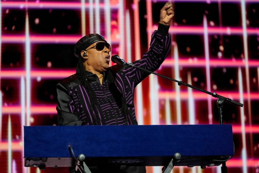 Stevie Wonder performs