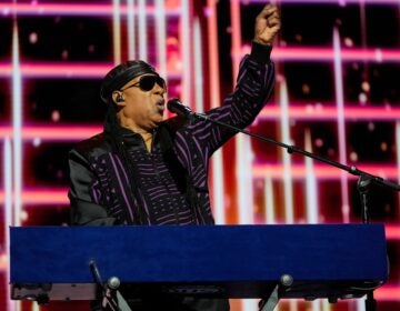 Stevie Wonder performs