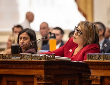 Quetcy Lozado speaking during a council hearing