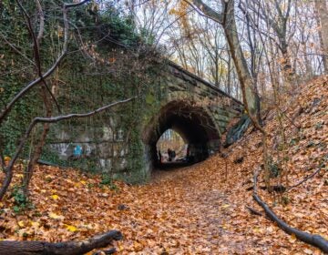 The Skew Arch Bridge