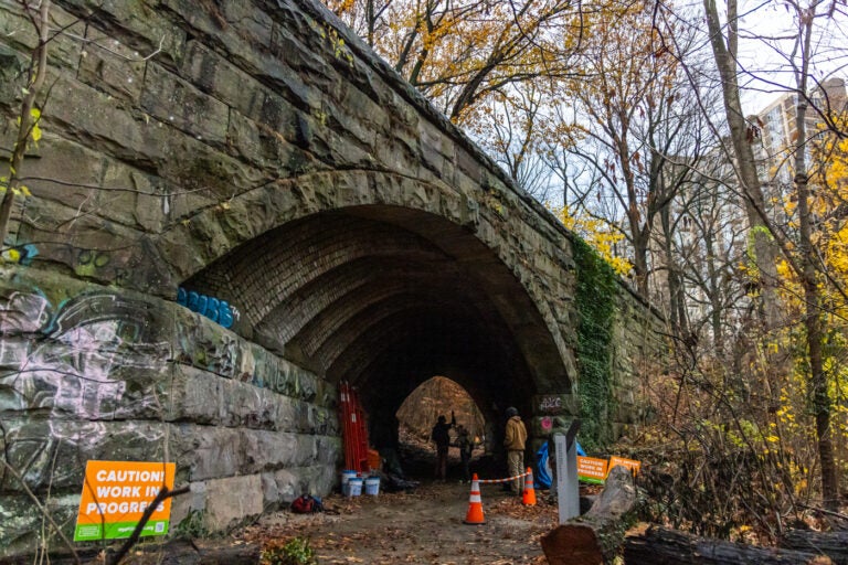 The Skew Arch Bridge