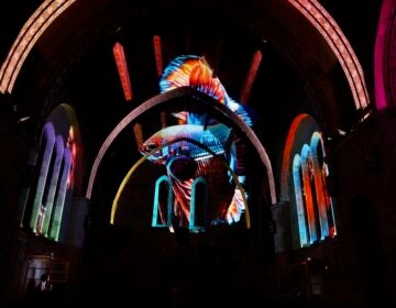 A fish swims through the vault of Ravenhill Chapel