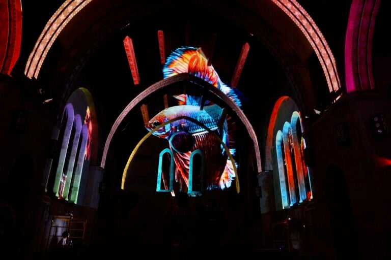 A fish swims through the vault of Ravenhill Chapel