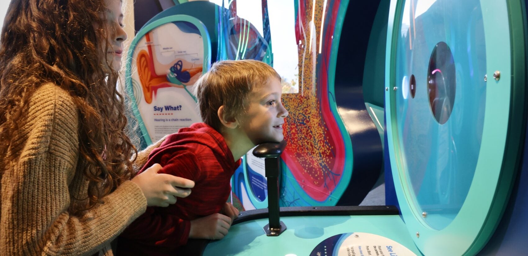 a child views the exhibit