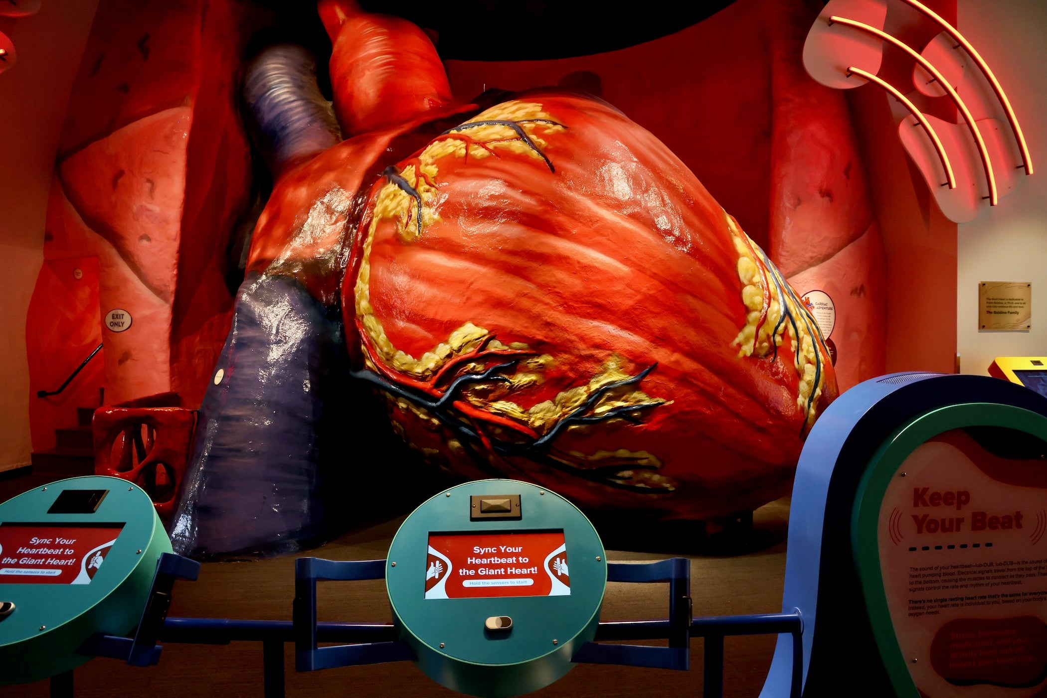 At the heart of it all is a heart: Franklin Institute built a state-of-the-art exhibition around an old-fashioned favorite