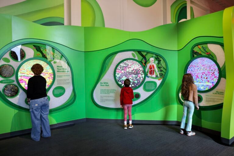 children view the exhibit