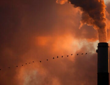 A flock of geese fly past a smokestack at a coal power plant near Emmitt, Kansas. (AP Photo/Charlie Riedel)