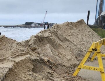 Workers repairing eroded dunes