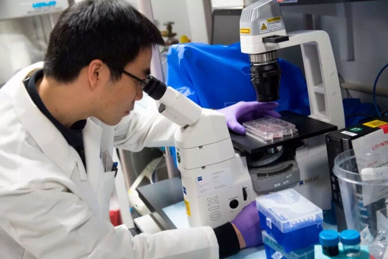 Dr. Benjamin Jin looks into a microscope